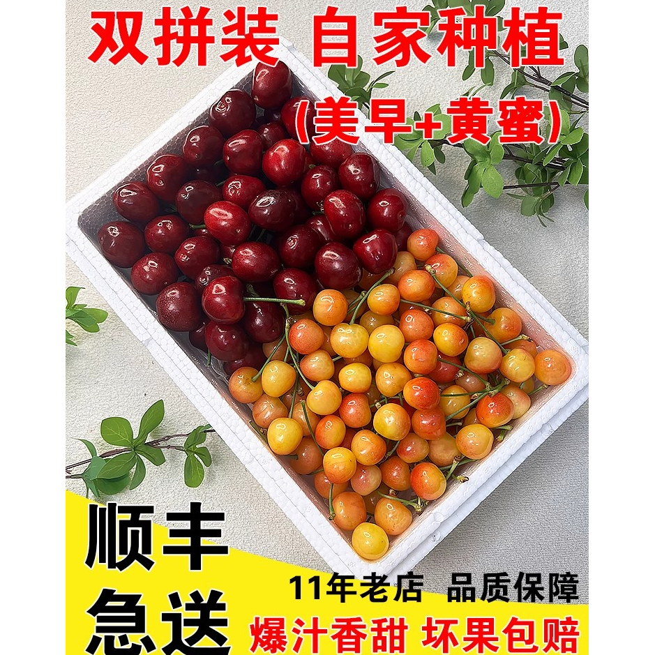 黄蜜美早双拼山东大樱桃新鲜水晶当季整箱水果孕妇车厘子顺丰包邮
