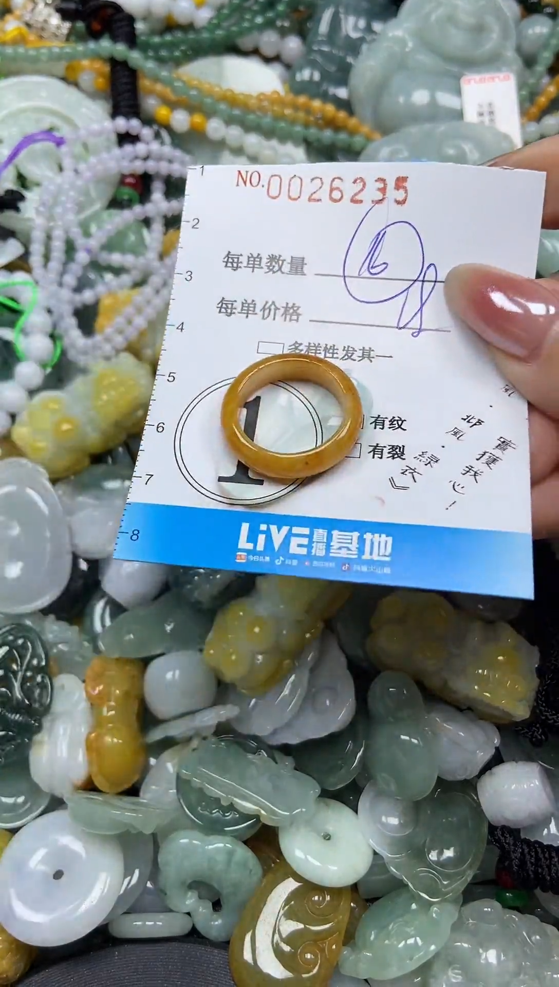 颈饰未镶嵌翡翠026235