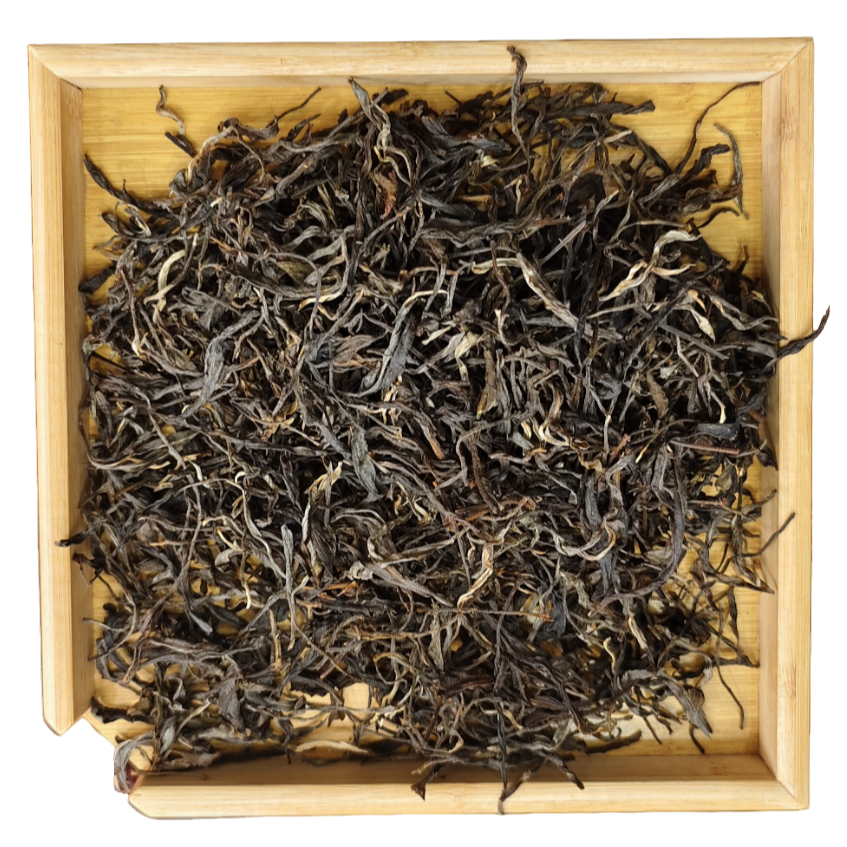 新人品鉴 2025年 易武瑶区蓝靛谭散生茶100g G615 JD11