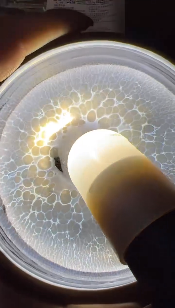 茶盏七彩鼻祖谢贞生26