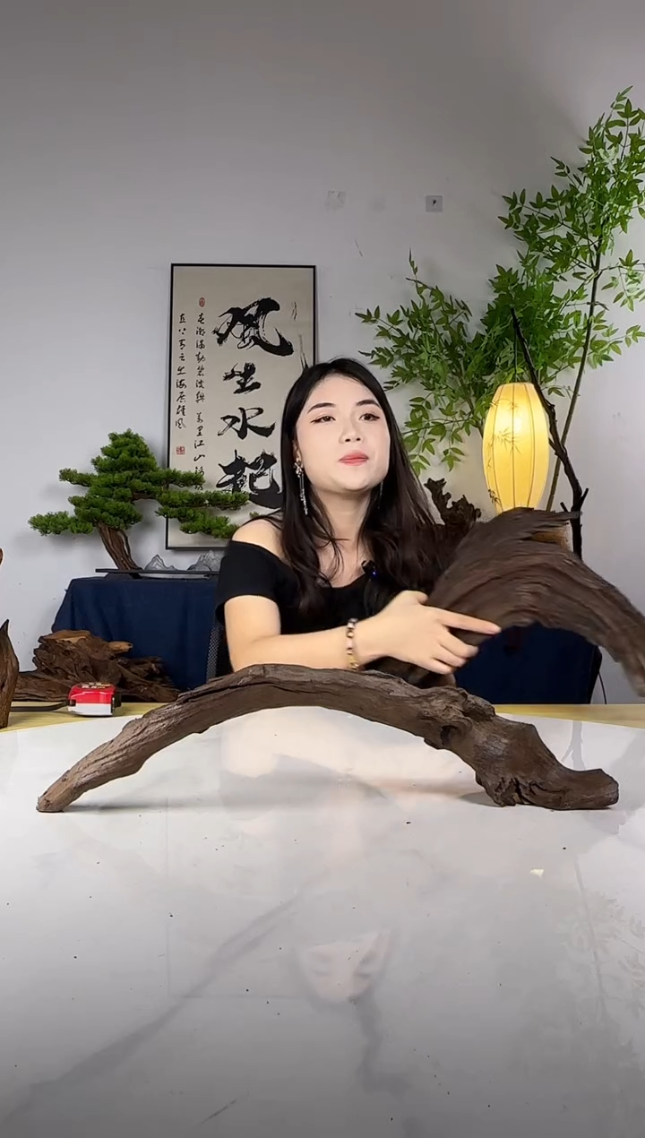 秋****?拍这个定向编号94