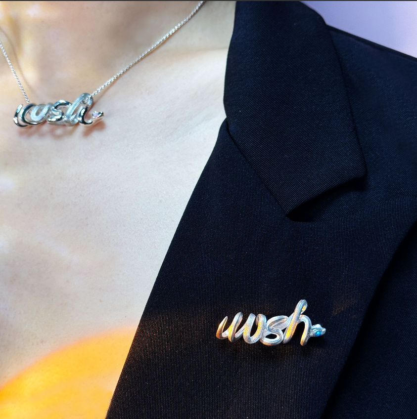 925银胸针 字母蛇蛇胸针wish许愿小众设计简约缠绕蛇形2025送礼