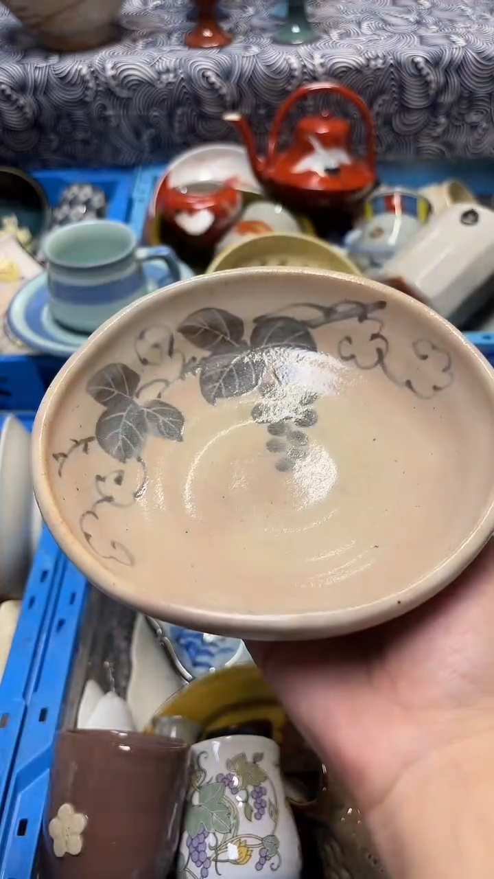 瓷片喵喵家都是大漂亮