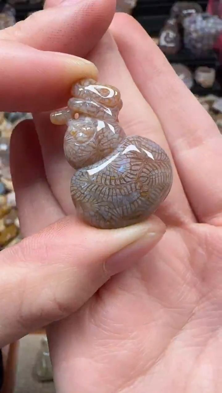 颈饰未镶嵌硅化珊瑚（珊瑚玉）235