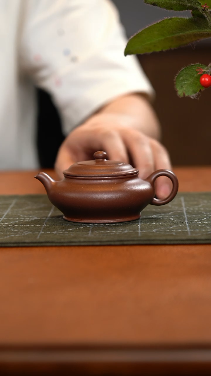 【闪购商品】紫砂茶壶虚扁 黄龙源底槽青