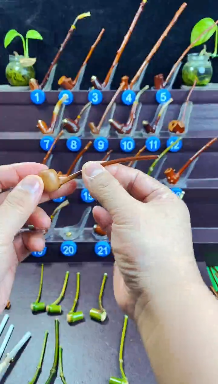 木檬子木的精品小斗