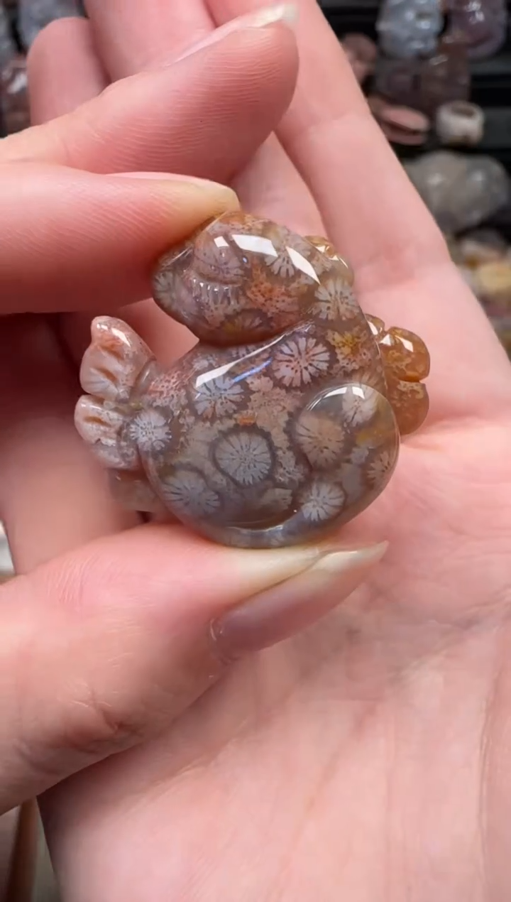 颈饰未镶嵌硅化珊瑚（珊瑚玉）671