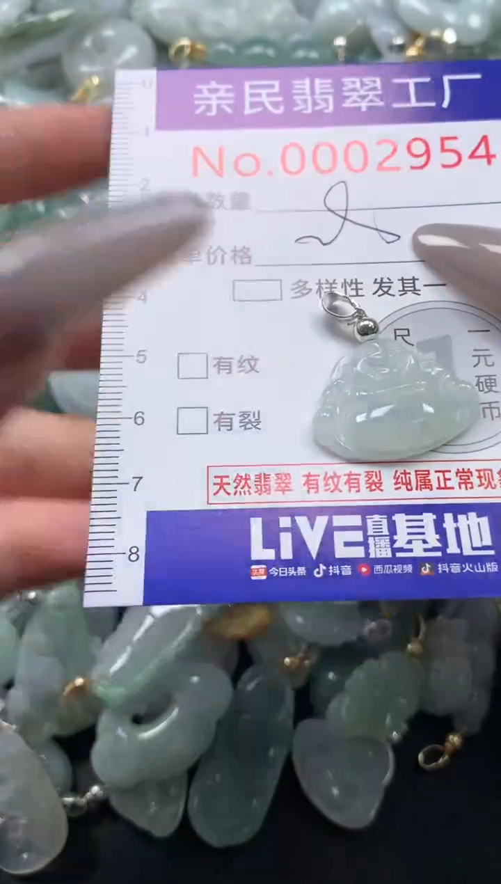 颈饰未镶嵌翡翠2954