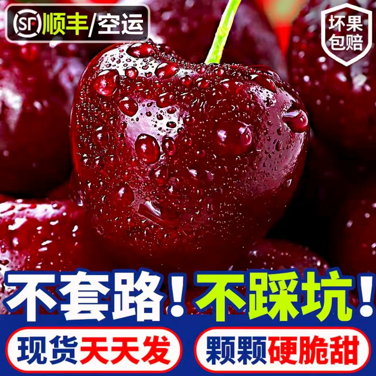 【空运头茬】桑提娜智利进口车厘子1-5斤顺丰包邮1-4J内附果径卡