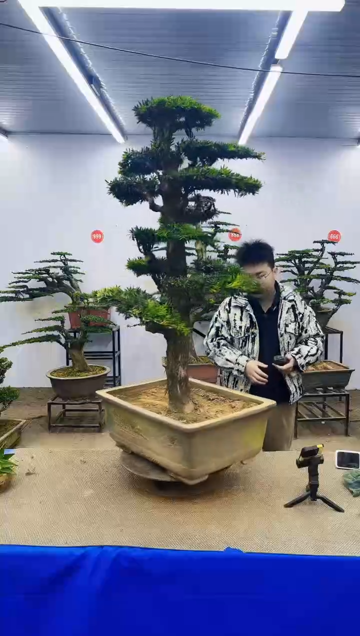 完全开放一物一拍，所见即所得