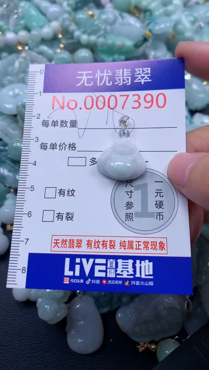 颈饰未镶嵌翡翠7390