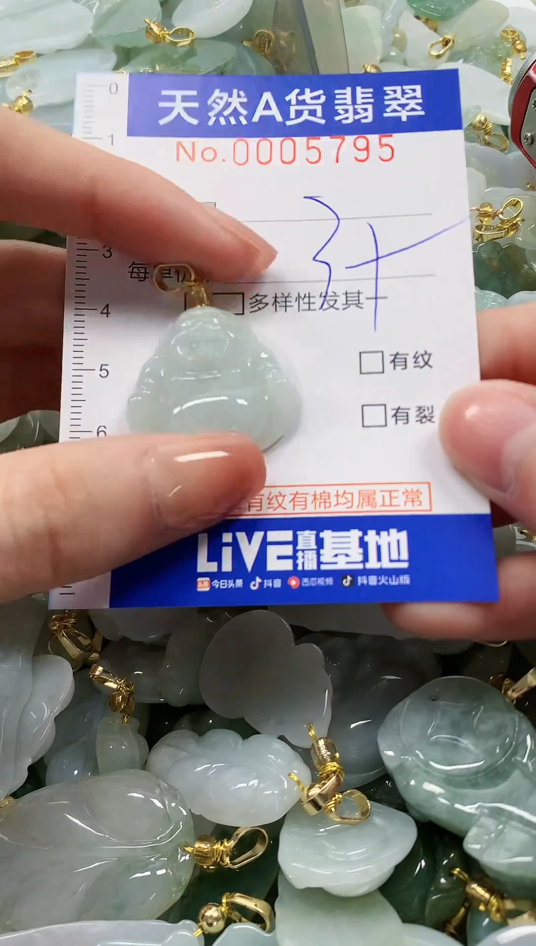 颈饰未镶嵌翡翠纯天然a货翡翠