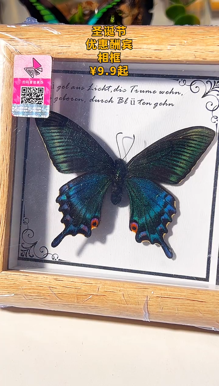 有机玻璃9877899876666