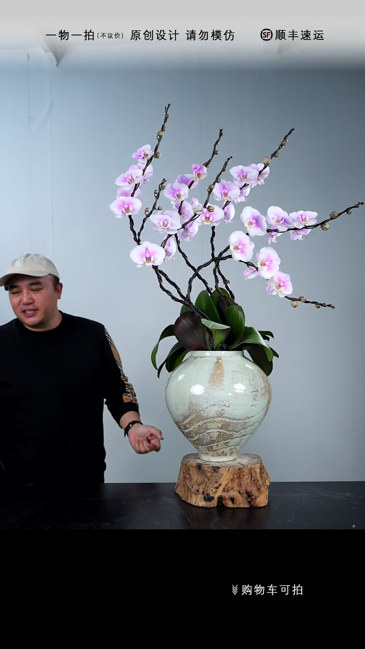 【闪购商品】068号链接【一物一拍】艺术盆景