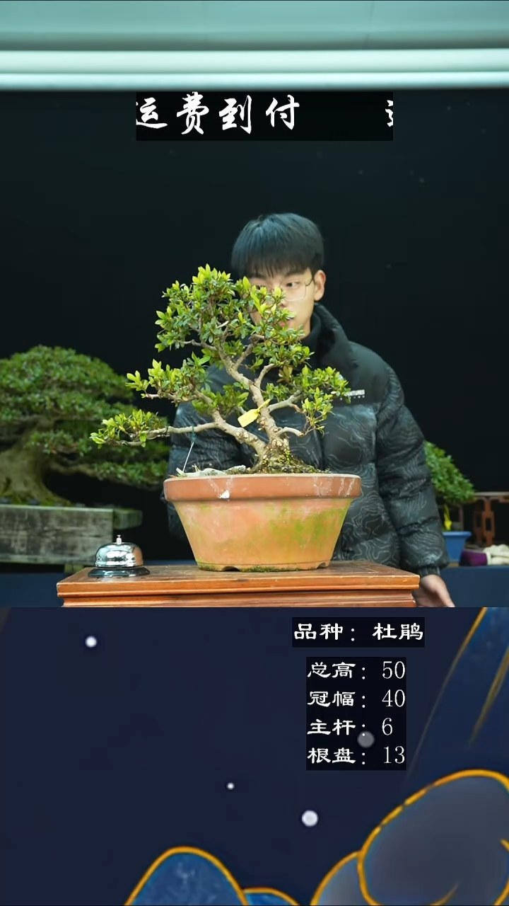 【闪购商品】无00530