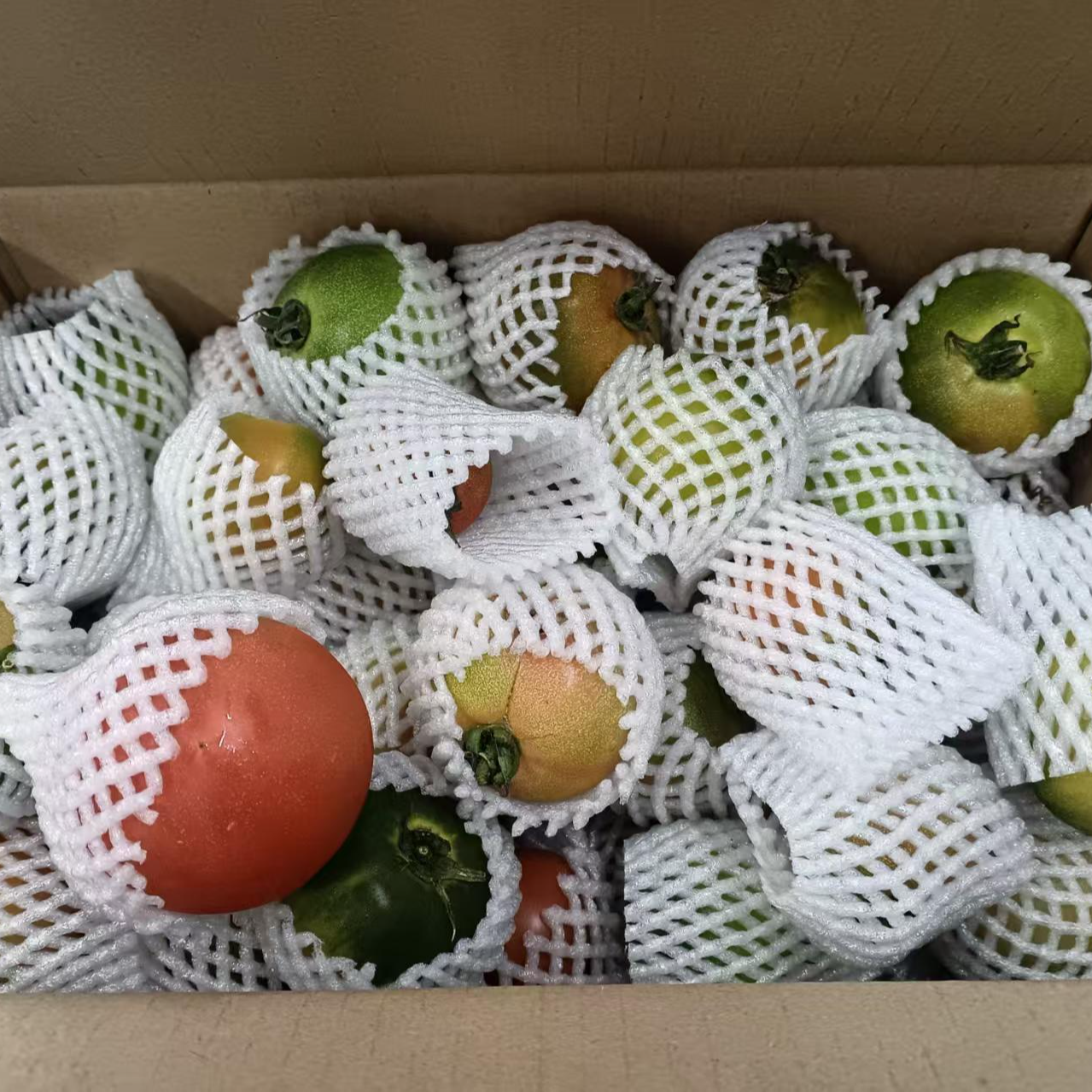 柿子（27.9一箱）草莓番茄辽宁省