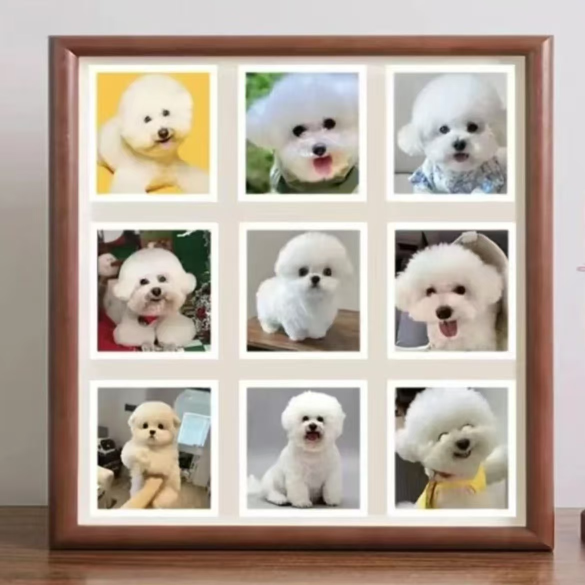 通用宠物狗狗相册定金