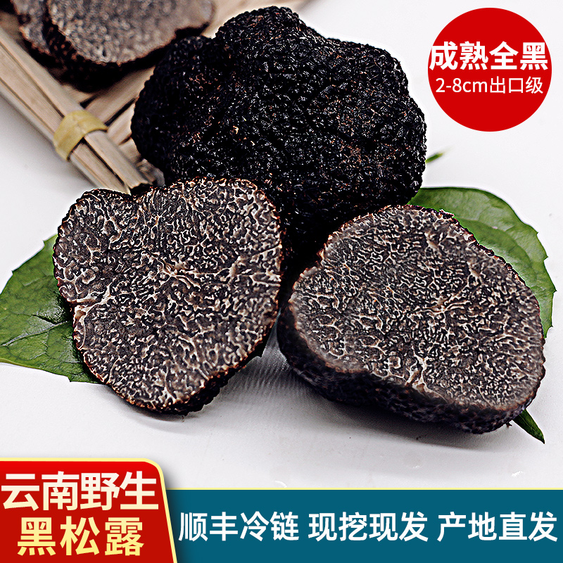 云南新鲜（黑松露）野生菌猪拱菌菇大个云南菌子高黎贡山块菌