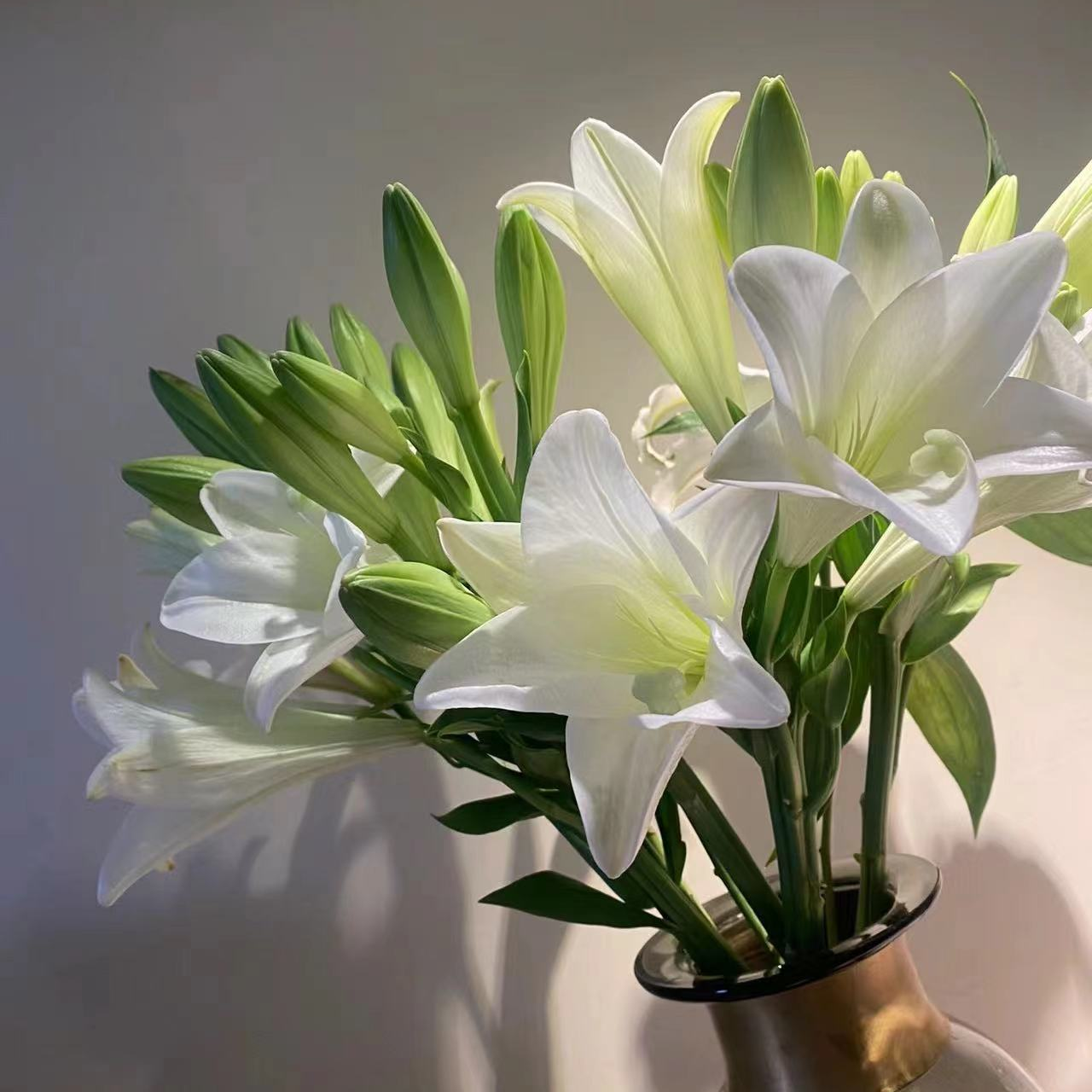  【英英鲜花】白铁炮香水百合 任意2单顺丰/德邦 发货后不支持退款