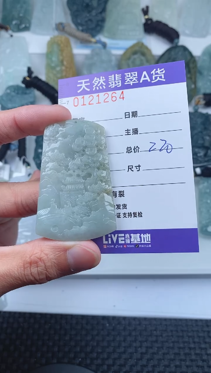 【闪购商品】翡翠颈饰未镶嵌        264
