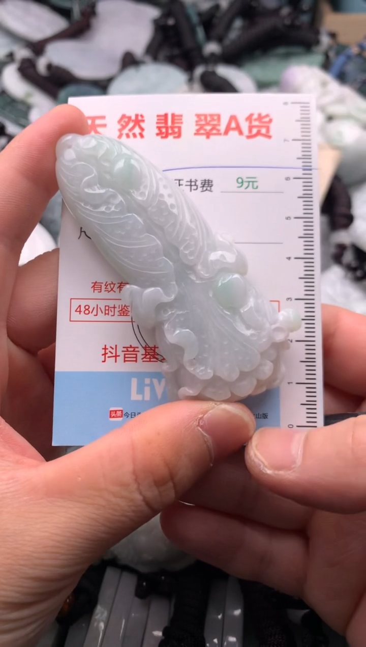 翡翠未镶嵌吊坠(不含链)1