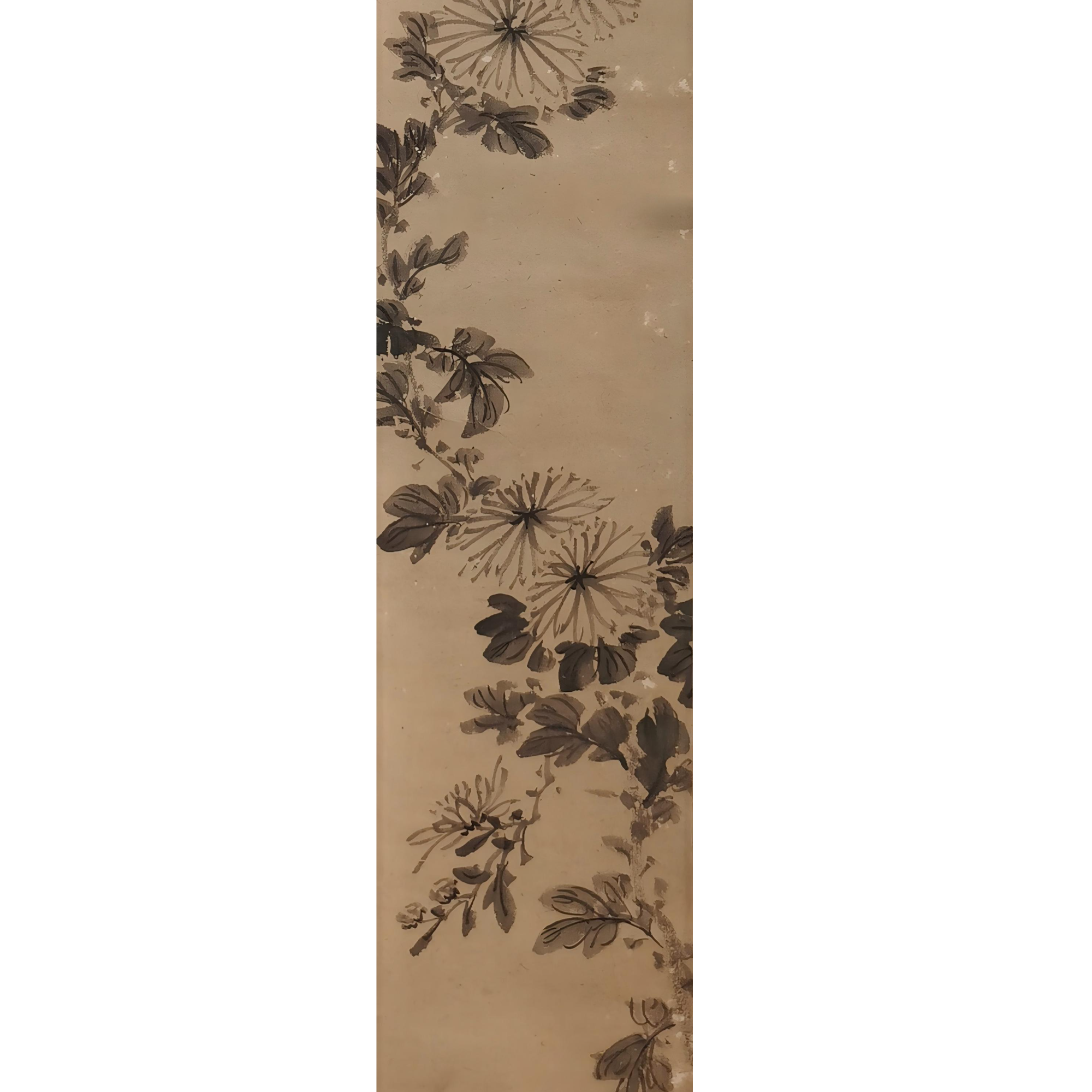 【辽拍】V240521-2-39《菊花》（1平尺) 纸本镜片 yy1203t