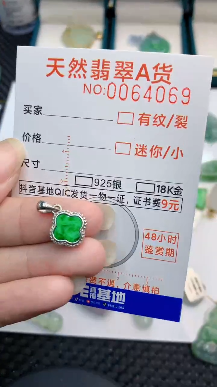 【闪购商品】翡翠颈饰银S925镶嵌            8