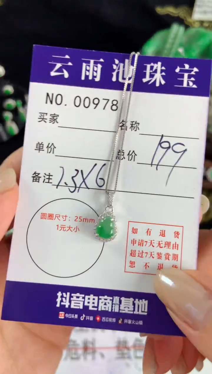 【闪购商品】翡翠颈饰银S925镶嵌翡翠