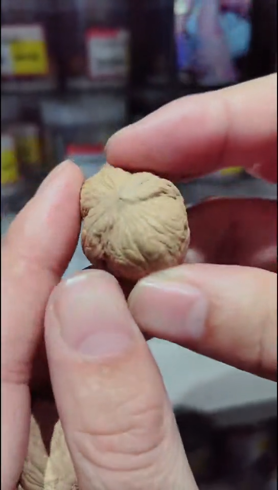 把件文玩核桃全品乾坤元宝通尺