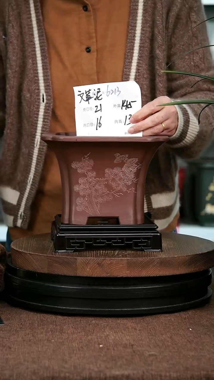 紫砂花盆花卉园艺6213+S