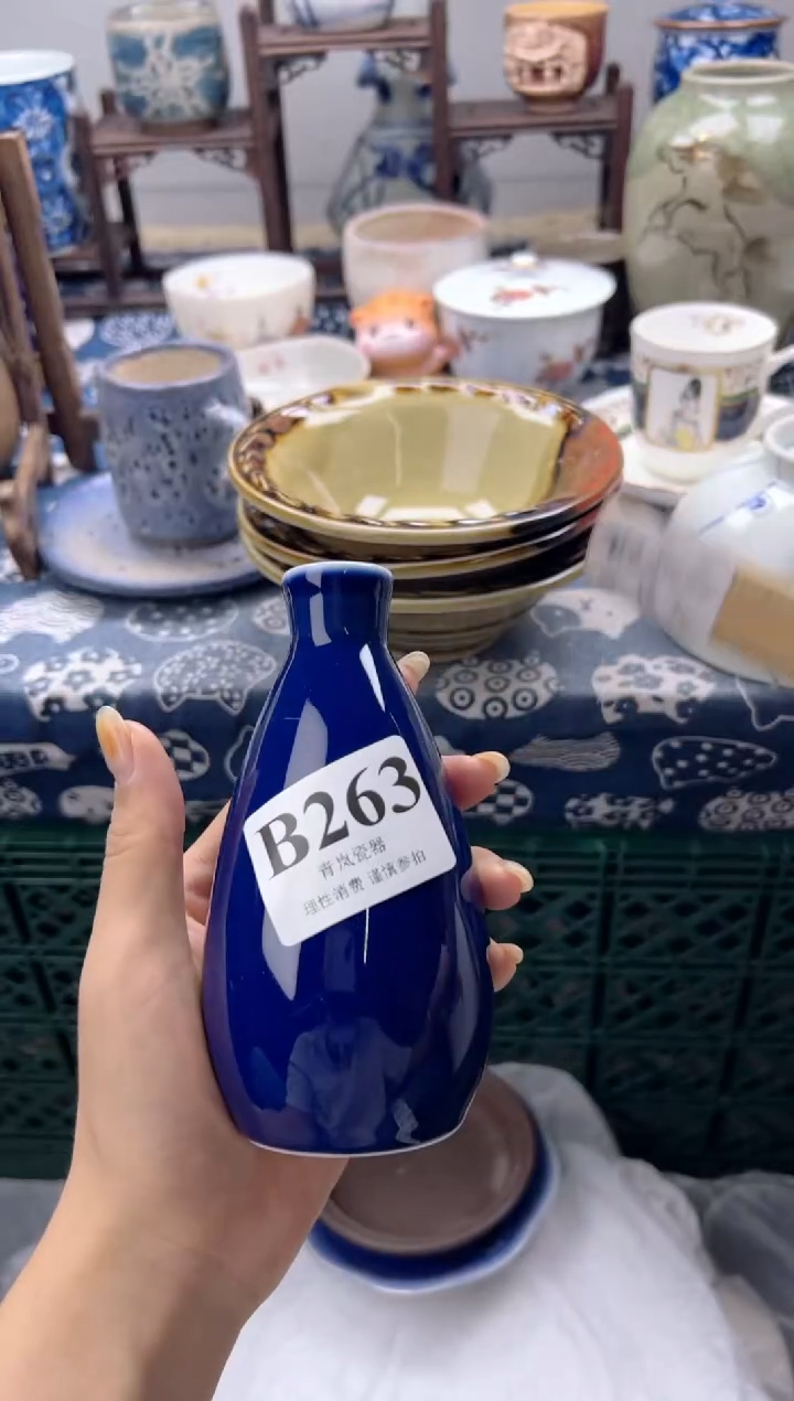 瓷片一****～    B263