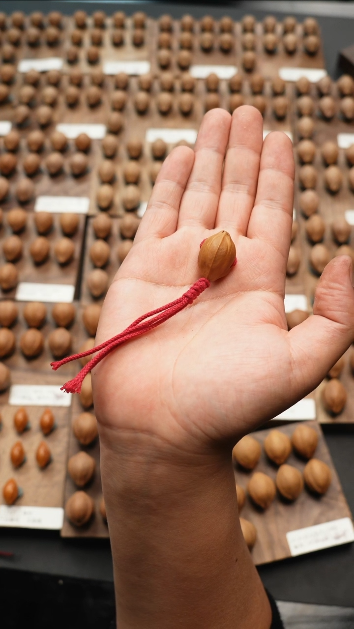 【闪购商品】橄榄核手串/手链抛光