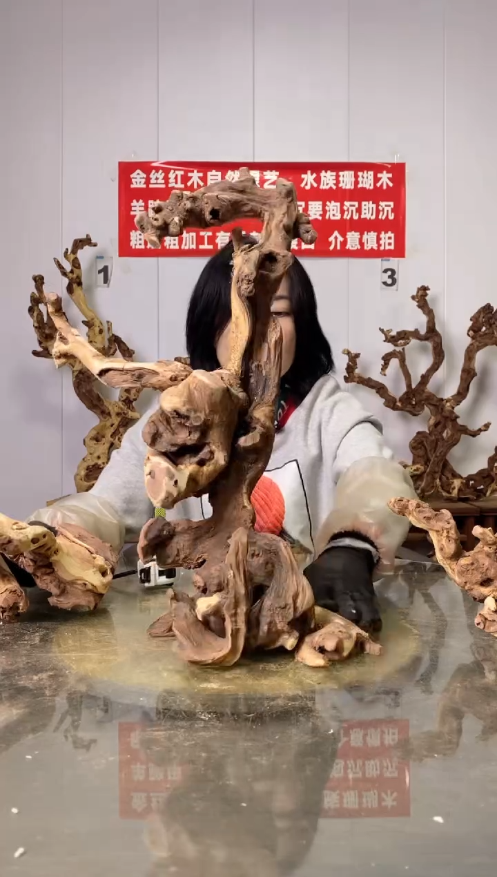 【闪购商品】木50金丝红木 羊蹄甲 