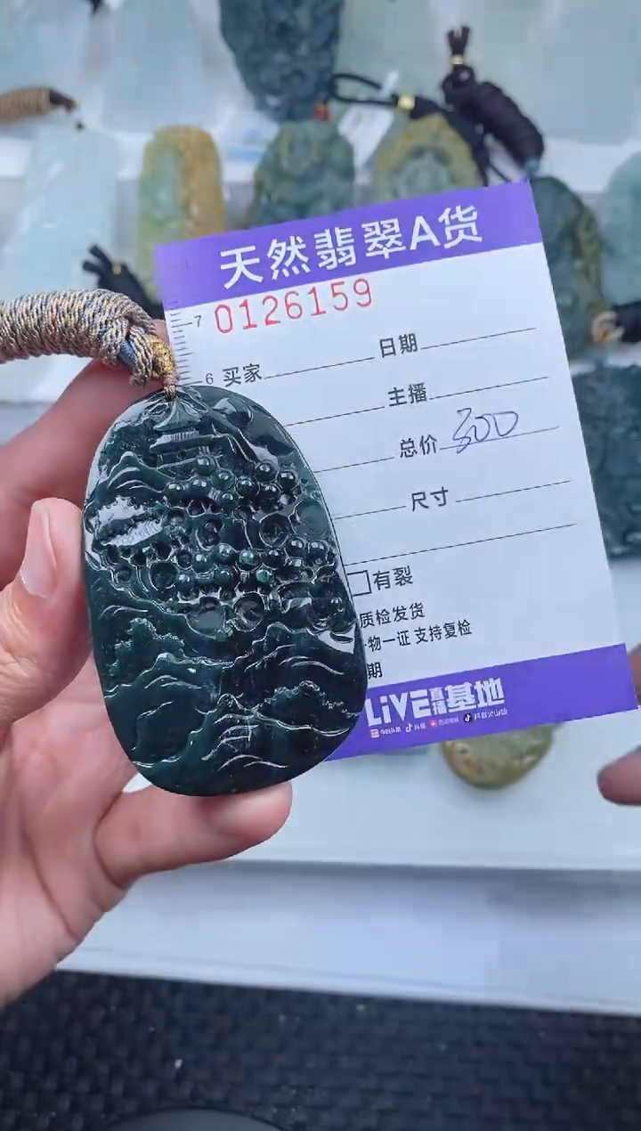 【闪购商品】翡翠颈饰未镶嵌        159