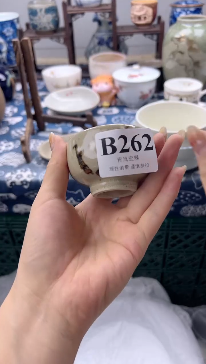 瓷片重****3    B262