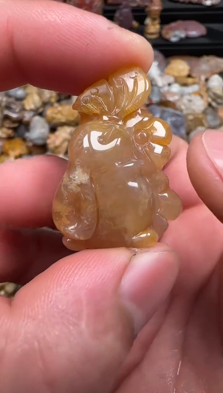 硅化珊瑚（珊瑚玉）未镶嵌颈饰175