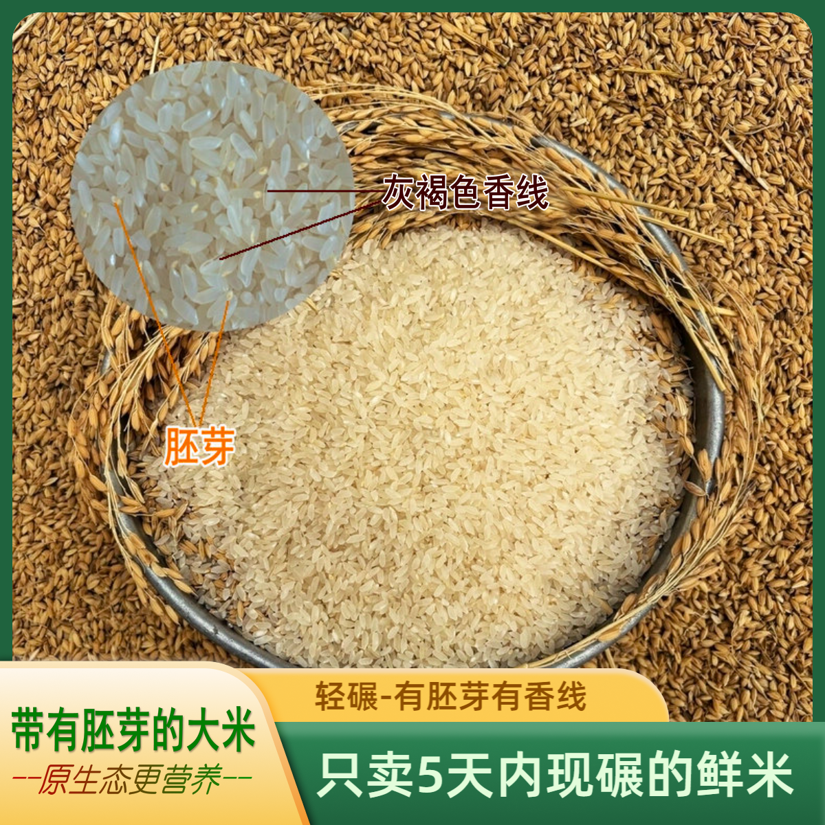 【新疆胚芽米】原生态胚芽米/农家米丑米不抛光/温宿大米现碾鲜米