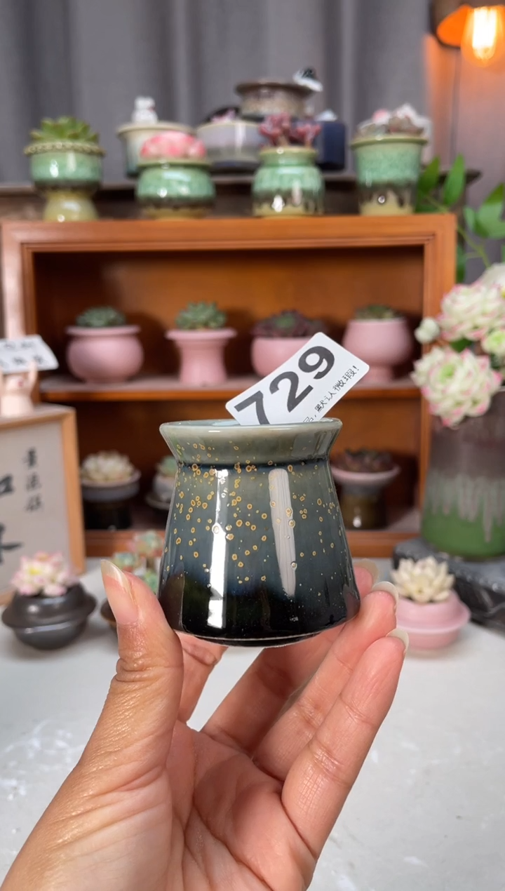 瓷片729小芳花盆直播编号