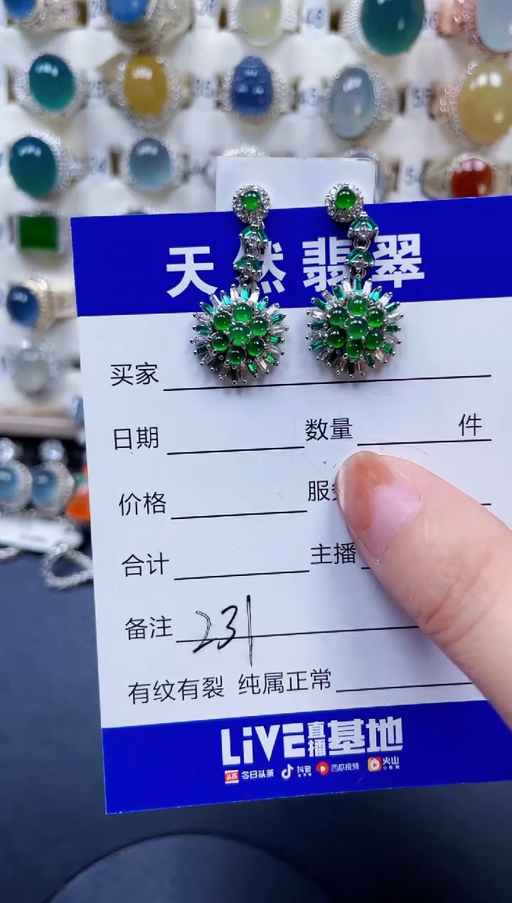 银S925镶嵌翡翠耳饰231