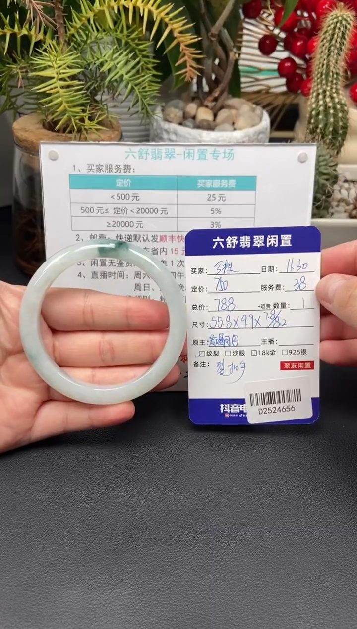 未镶嵌手镯翡翠?****灯D2524656