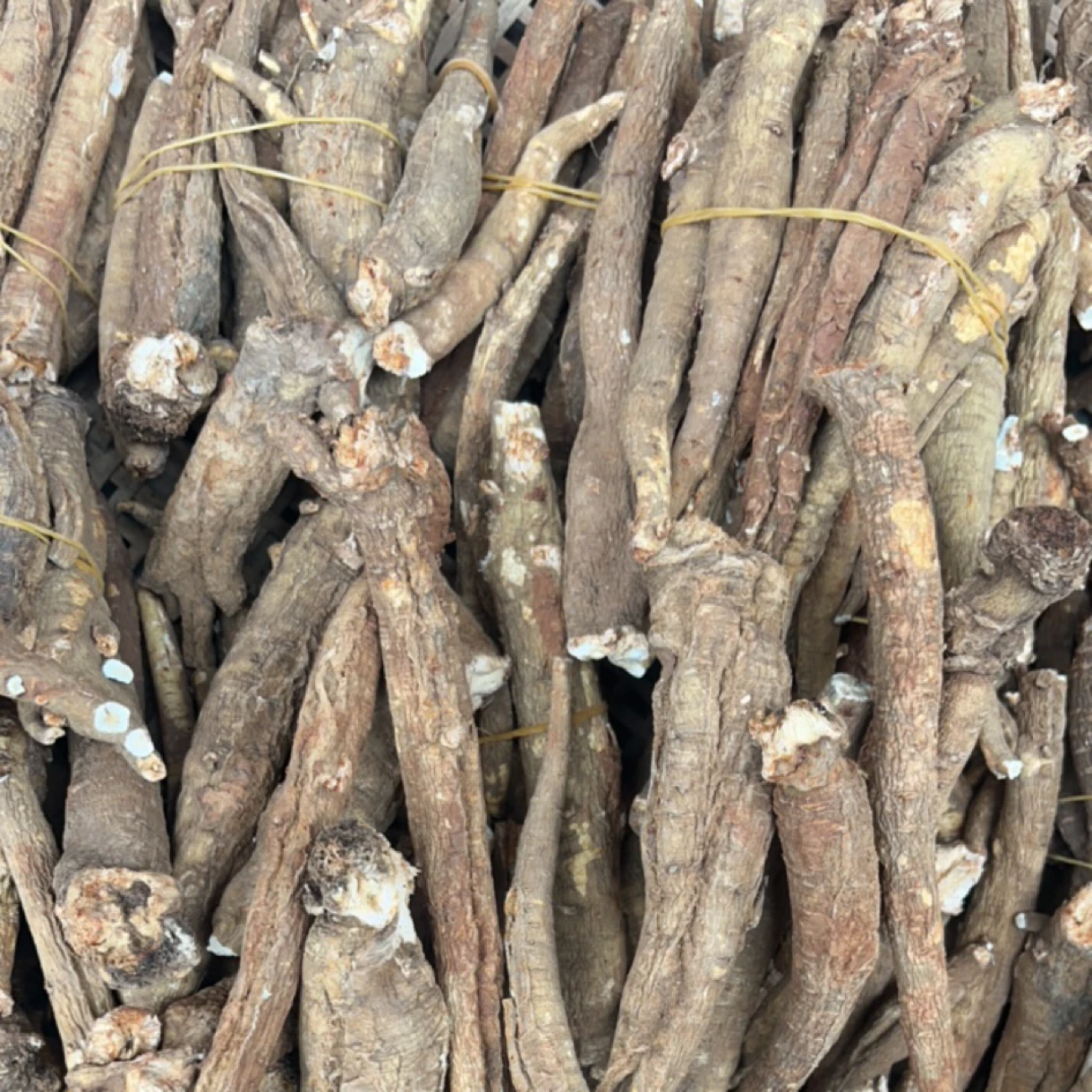 云南山货【甜当归】老陈甄选