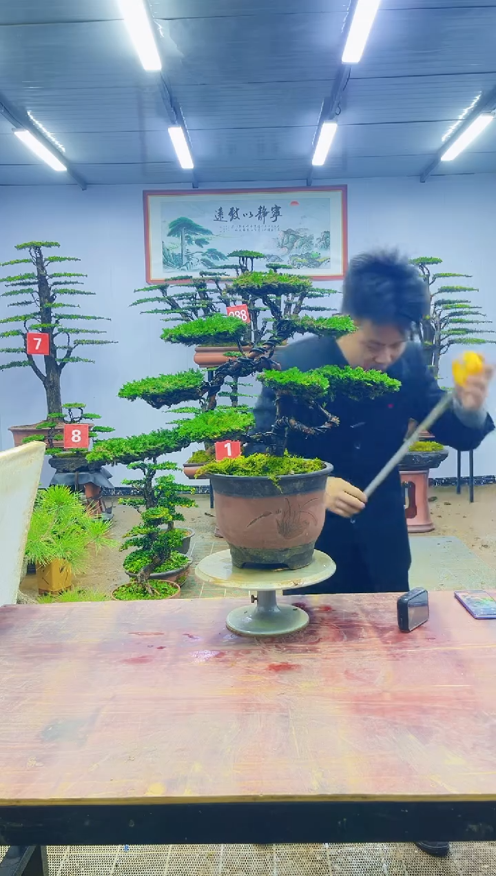 【闪购商品】一物一拍，所见即所得