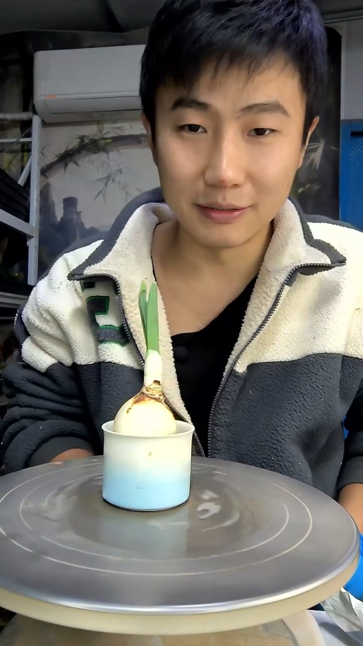 啊****哈中青园艺一物一拍花282