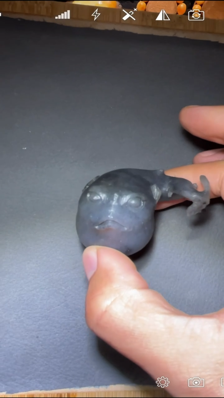 未镶嵌和田玉把件河豚 Q000318