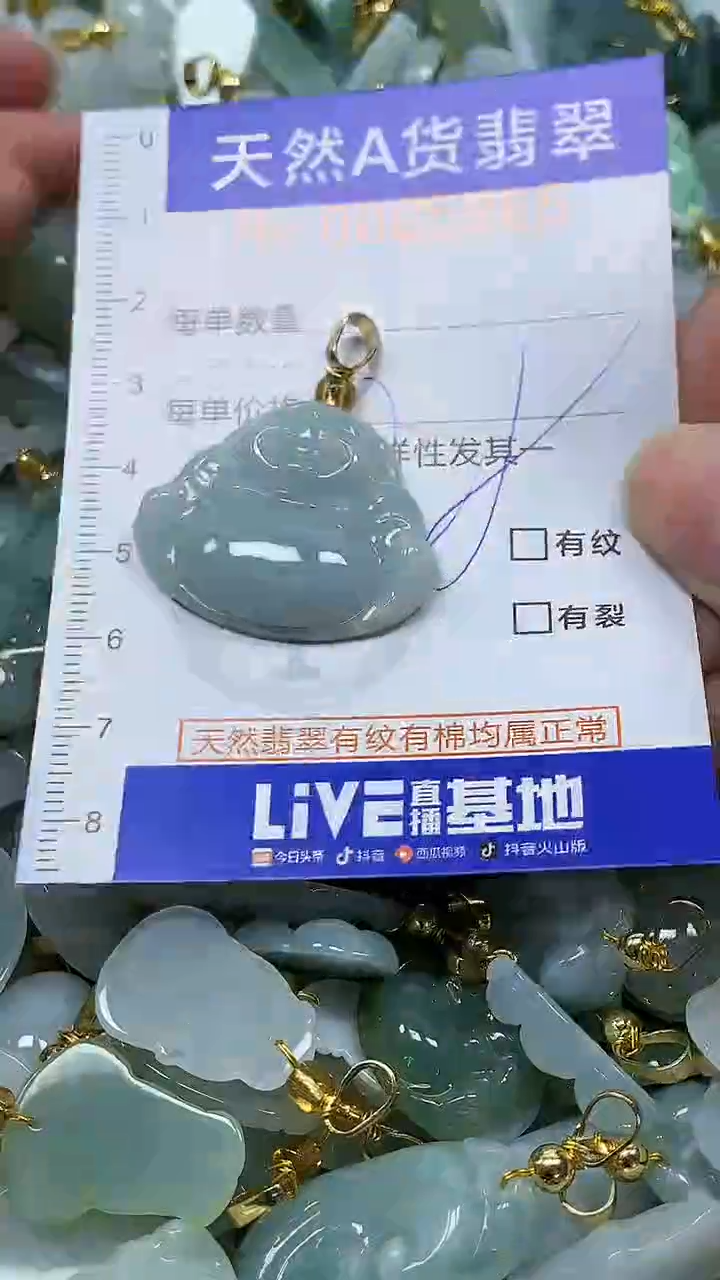 颈饰未镶嵌翡翠纯天然a货翡翠