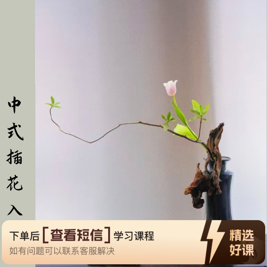 中式插花入门(点击详情页送插花资料）（留意短信解锁课程）