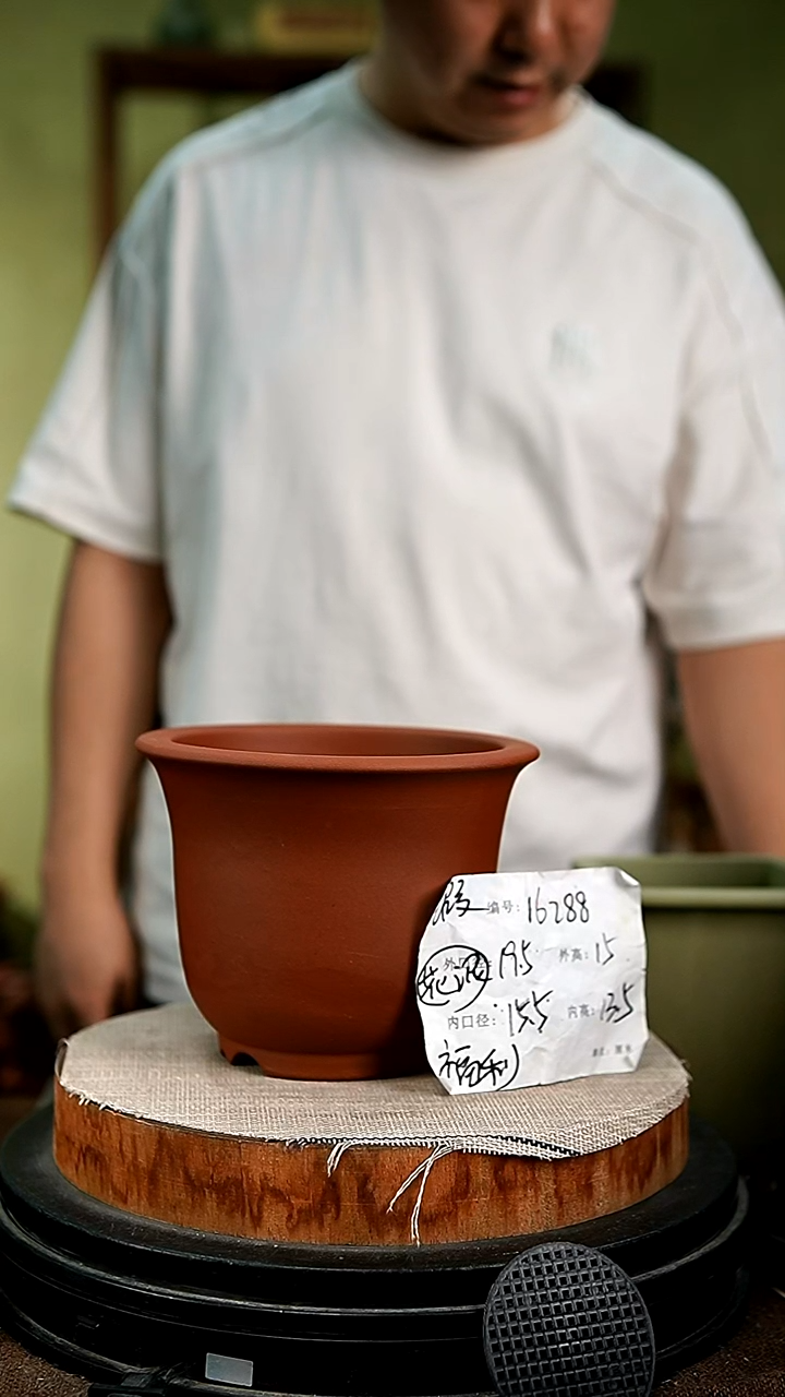 紫砂花盆花卉园艺16288瑕