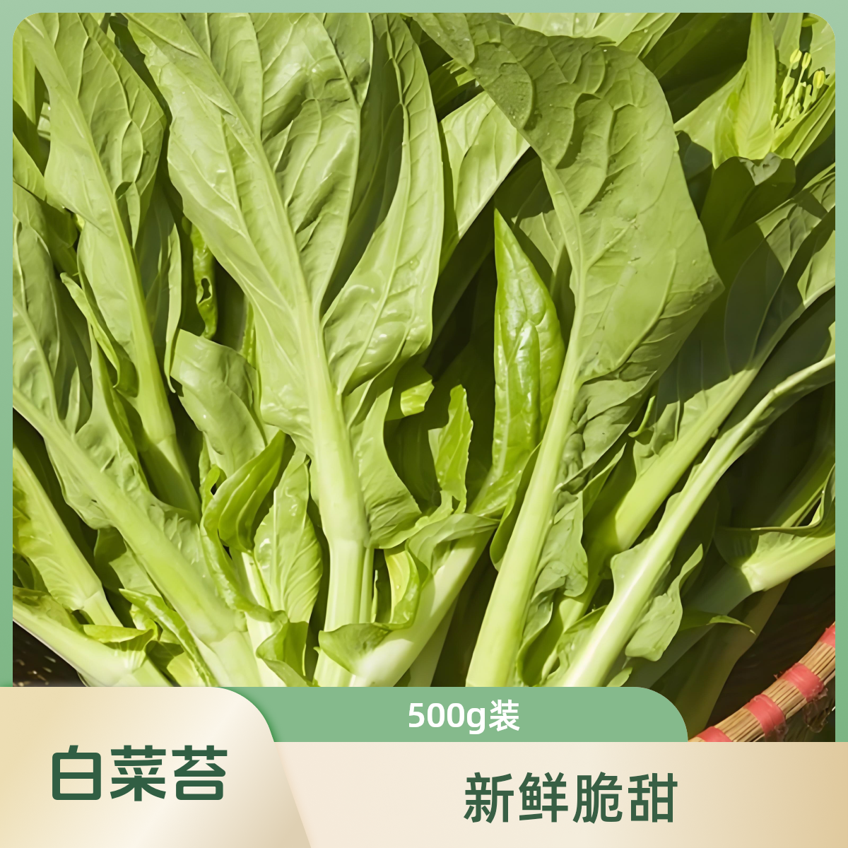 白菜苔500g