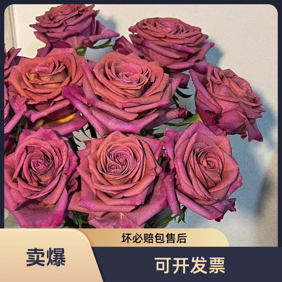 【A级调香师单头玫瑰】云南昆明基地直发新鲜水养鲜花送女朋友老婆