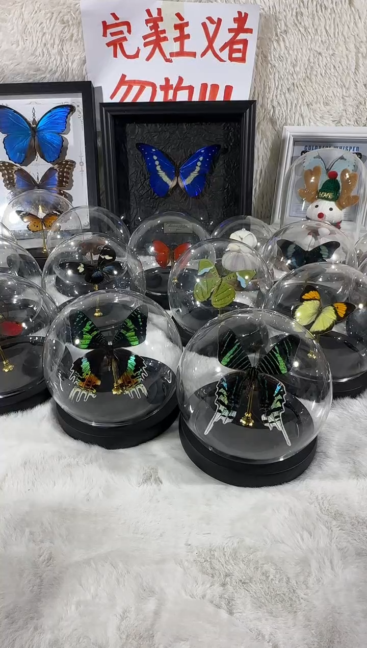 奶****️太阳月亮水晶球